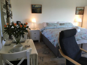 Garden Room near Brecon